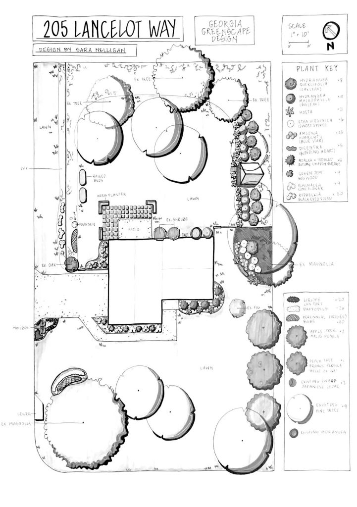a landscape design drawing