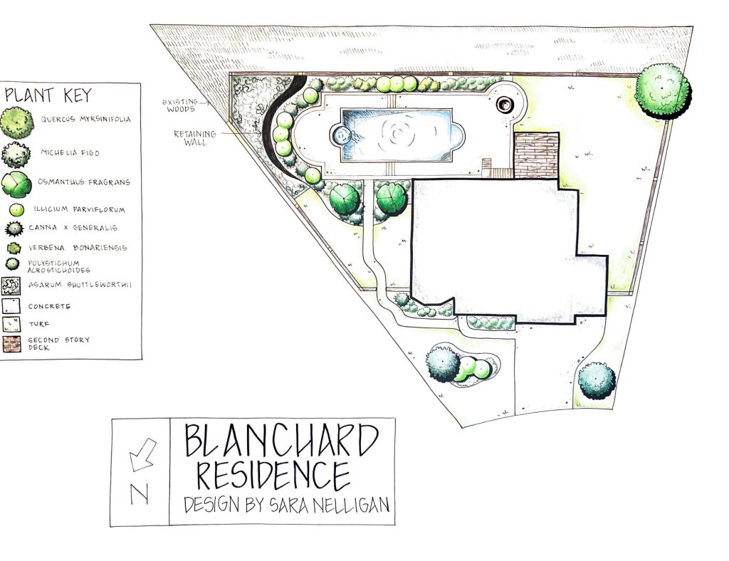 a landscape design drawing