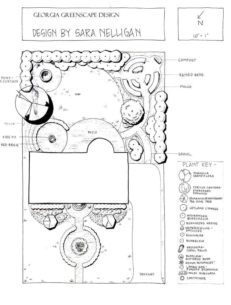 a landscape design drawing