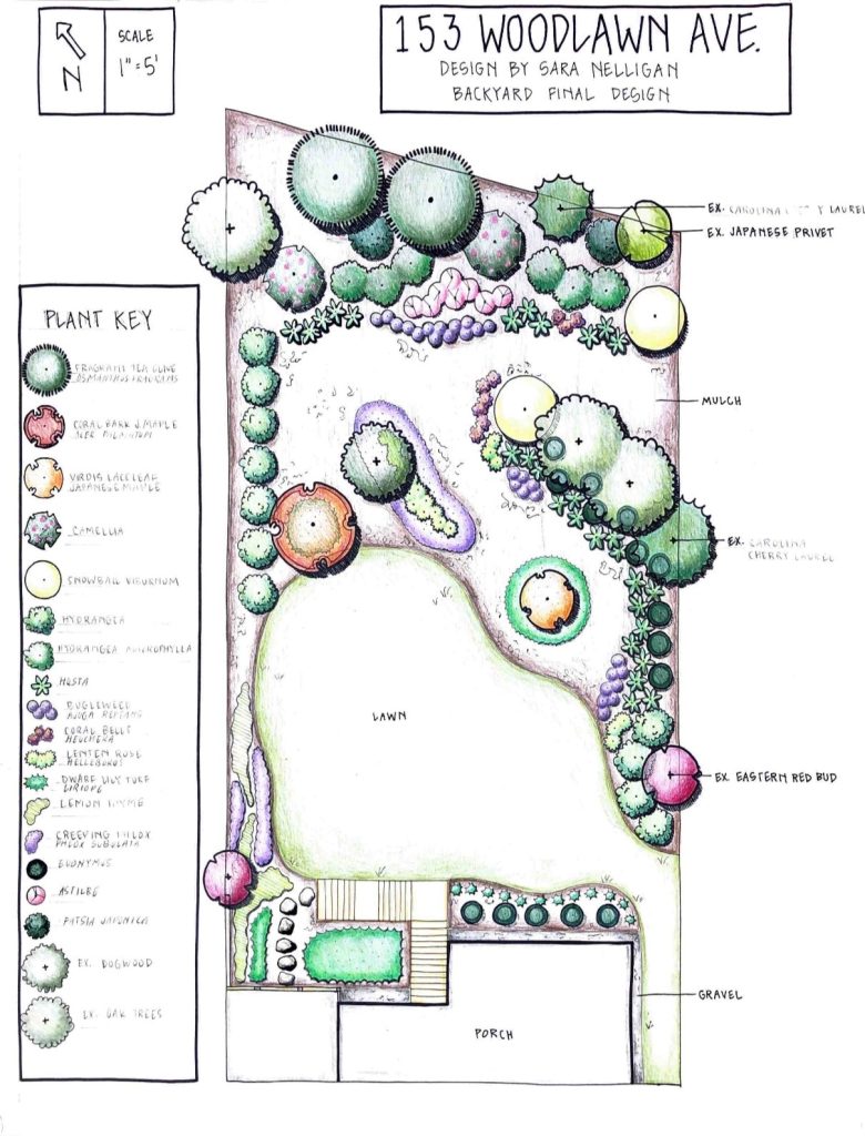 a landscape design drawing