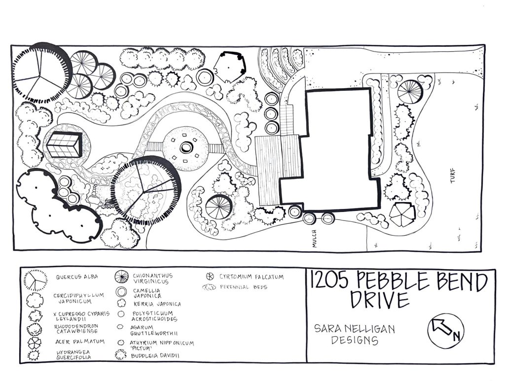 a landscape design drawing